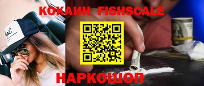амф Камышлов