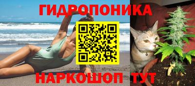 амф Кандалакша