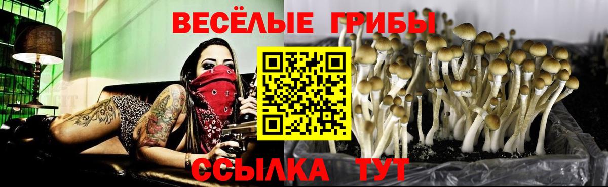 Галлюциногенные грибы прущие грибы  Псилоцибиновые грибы GOLDEN TEACHER  Вход с VPN  Аксай 